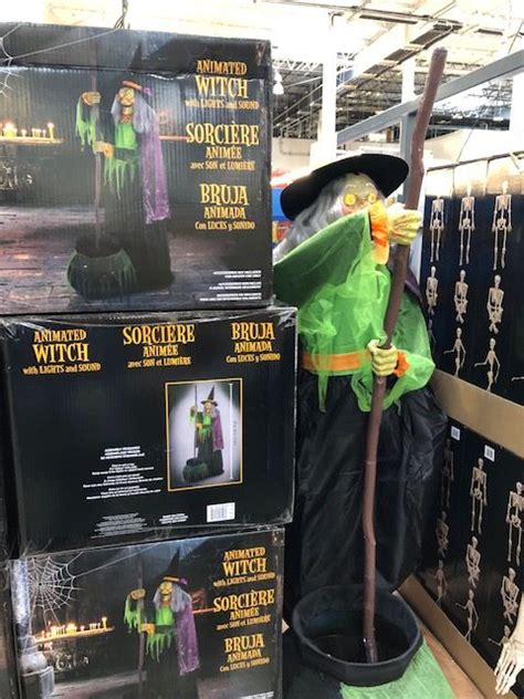 Spellbinding Style: Witch Halloween Outfits from Costco
